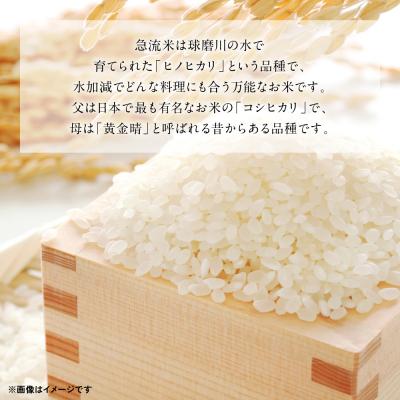 ふるさと納税 八代市 《令和7年産》熊本県八代市産 球磨川急流米 ヒノヒカリ 10kg_131-4800-D |  | 01