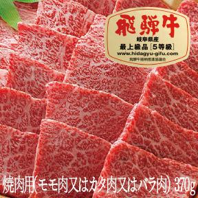 【ふるさと納税】【9/1より値上げ】 飛騨牛 A5 焼肉 BBQ モモ肉 カタ肉 バラ肉 370g 牛肉 中部ミート 飛騨牛 牛肉 肉 黒毛和牛 国産 厳選 ブランド牛 お取り寄せ 高級 岐阜県 大垣市