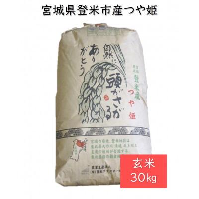 ふるさと納税 登米市 令和7年産　宮城県登米市産つや姫(玄米)30kg