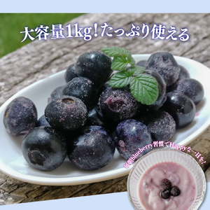 【ふるさと納税】＜ブルーベリー 冷凍　1kg＞ フルーツ くだもの 高知県 佐川町 果物 島崎商事【冷凍】冷凍ブルーベリー 常備果物＜4～6ヶ月程度で発送＞