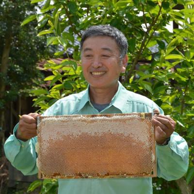 ふるさと納税 羽咋市 能登産天然はちみつ『りんご蜜』 |  | 02