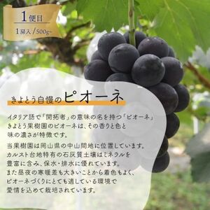 【発送月固定定期便】葡萄1房お試し3回便 ピオーネ・シャインマスカット・紫苑(岡山県産)全3回【配送不可地域：離島】【4061983】
