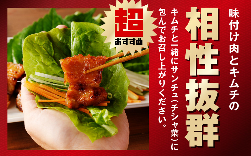 【焼くだけ】味付きサムギョプサル 約1kg（500g×2P） プルコギ風味とコチュジャン味付け 食べ比べセット 焼肉 BBQ デジカルビ 099H3358
