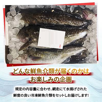 ふるさと納税 網走市 【訳あり】網走産冷凍鮮魚BOX〜未利用魚の有効活用(漁業生産者応援企画)〜 |  | 01