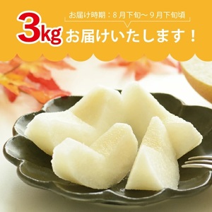 SA2919　刈屋梨 和梨 (品種おまかせ)　約3kg