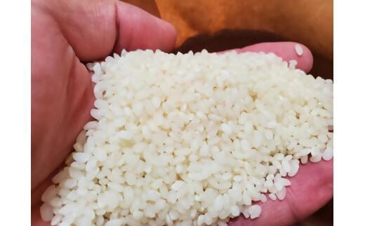 【令和7年産米】ミルキークイーン 10㎏ (5㎏×2)  NNS-01_イメージ2