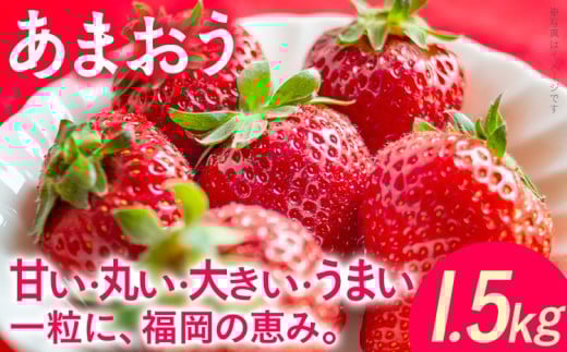 あまおう いちご 1.5kg 250g×6パック 福岡 苺 フルーツ 果物 くだもの 大容量 九州 グルメ お取り寄せ 3月上旬～4月上旬頃出荷予定