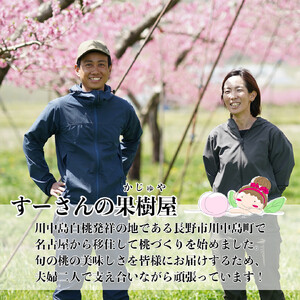 【先行予約】川中島の桃 約2kg 品種おまかせ  8月中旬～8月下旬発送予定