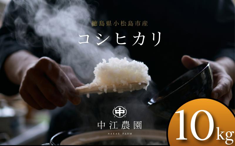 令和7年産 コシヒカリ 10kg 白米 米 数量 限定 こしひかり 10キロ 米10kg ごはん こめ コメ はくまい okome kome おむすび おにぎり 国産 飯 おこめ 小松島市