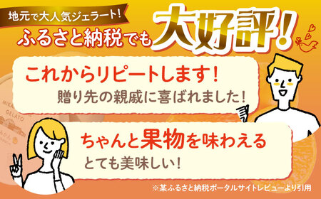 【年中人気】【3回定期便】 おまかせジェラート  8個 ＜みかんドーム＞ [CAI031]