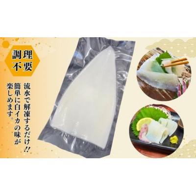 ふるさと納税 香美町 柔らかくて甘い!お刺身用 白イカむき身 350g(冷凍) |  | 01