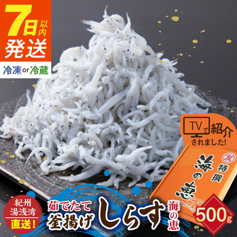【ふるさと納税】【限定】 《7日以内発送》 高評価★4.9 選べる 冷蔵 冷凍 茹でたて 釜揚げしらす 海の恵み 500g 紀州湯浅湾直送！【しらす干し ちりめんじゃこ シラス】