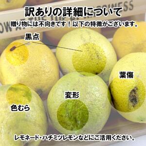 訳あり レモン サイズ不揃い 約5kg ( 訳あり れもん レモン 檸檬 国産 旬のフルーツ 愛媛県 松山市)【VEG036】