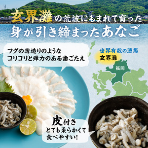 高評価 ★5 天然あなごの刺身【宗像産】1～2人前(60g)×3パック【宗像漁協】_HA0453