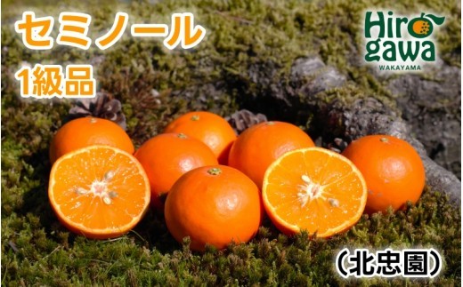 
                  セミノール 5kg 1級品【hkt016-p-5】
                