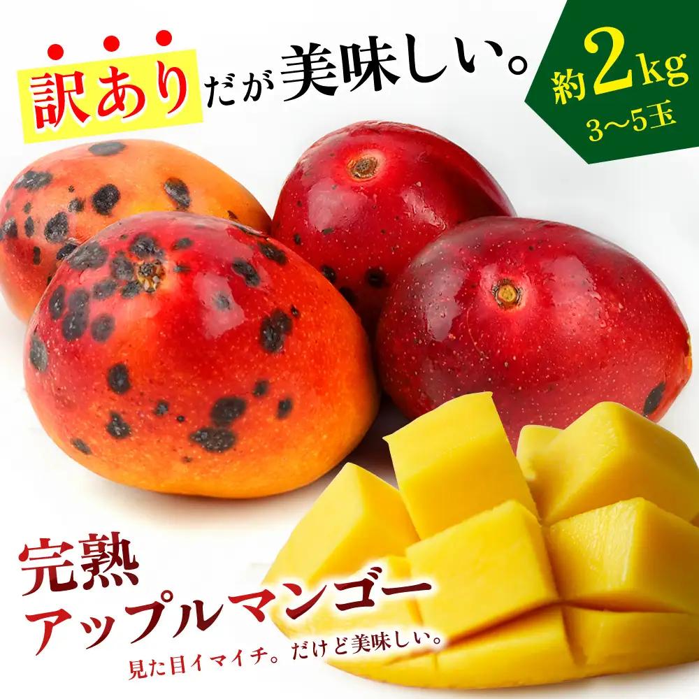 マンゴー【2026年発送】生産者応援！！訳あり完熟アップルマンゴー約2kg