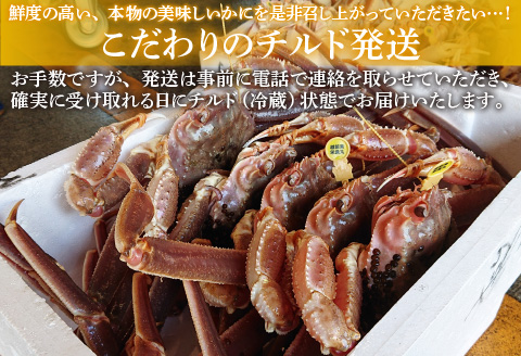 【産地直送】福井冬の味覚！越前がに 1杯 1.2～1.3kg 【2023年度】