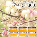 【ふるさと納税】はちみつ 蜂蜜 ハチミツ おすすめ 300g ブルーベリー 桜 百花蜜 遠山ブルーベリー農園産 国産 ハニー 華やか 稀少 養蜂家 トレーサビリティ導入 本物 紅茶 パン ヨーグルト パンケーキ ハニーナッツ 純粋 自然のまま 山中養蜂