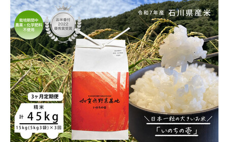 【3ヶ月定期便】【お米番付優秀賞受賞農家】日本一粒の大きいお米『いのちの壱』白米15kg×3回