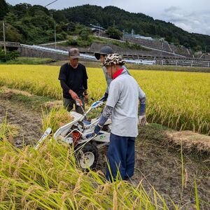 田んぼオーナー権 1口分 お米と農作業の体験付き つくえラボ【お米 チケット 体験チケット 農作業体験】　募集期間：2025年11月1日～2026年2月末