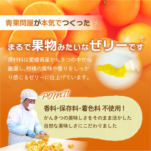 【定期便3回】 旬のちゅうちゅうゼリー 定期便 10個 | ゼリー ゼリー ゼリー ゼリー ゼリー【OF0121】