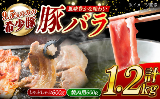 大西海SPF豚 バラ（焼肉＆しゃぶしゃぶ用）計約1.2kg（600g×2パック）長崎県/長崎県農協直販 [42ZZAA100] 肉 豚 ぶた ブタ 豚バラ 焼肉 焼き肉 しゃぶしゃぶ 小分け 満腹 西海市 長崎 九州