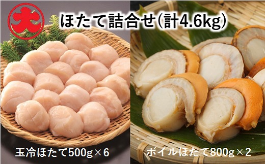 D-01044 【12月18日決済分まで年内配送】 【北海道根室産】玉冷ほたて500g×6P、ボイルほたて800g×2P(計4.6kg) ふるさと納税 ホタテ 帆立 ほたて 海鮮