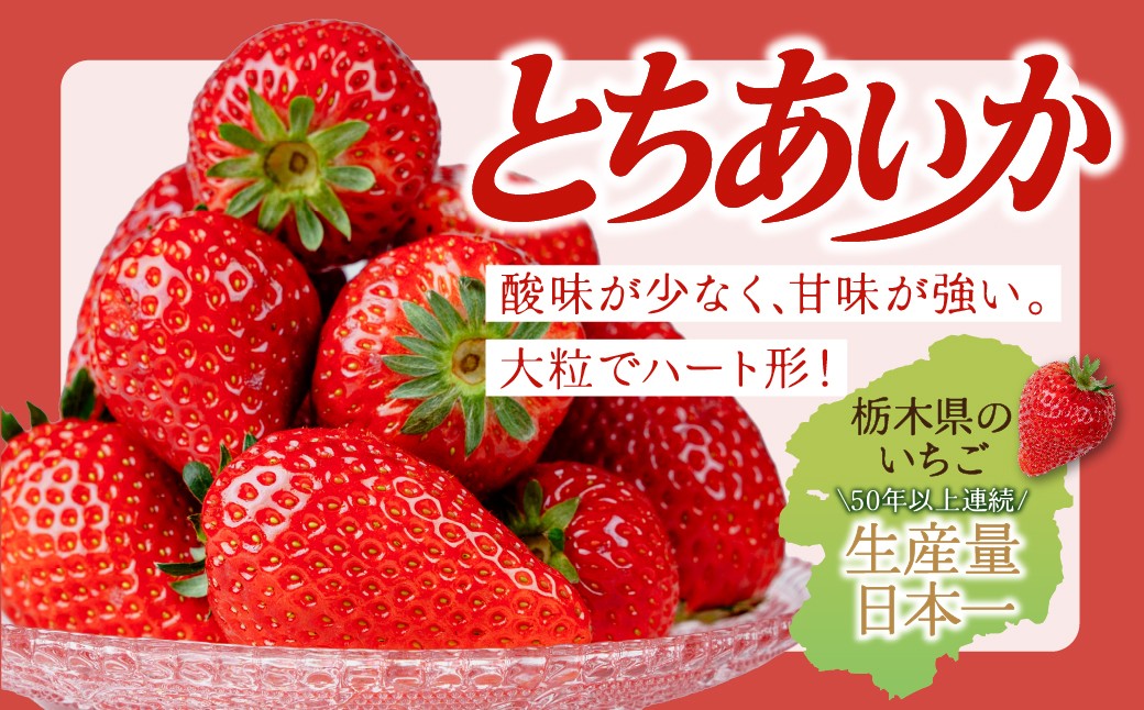 いちご イチゴ 苺 ストロベリー とちあいか 完熟 