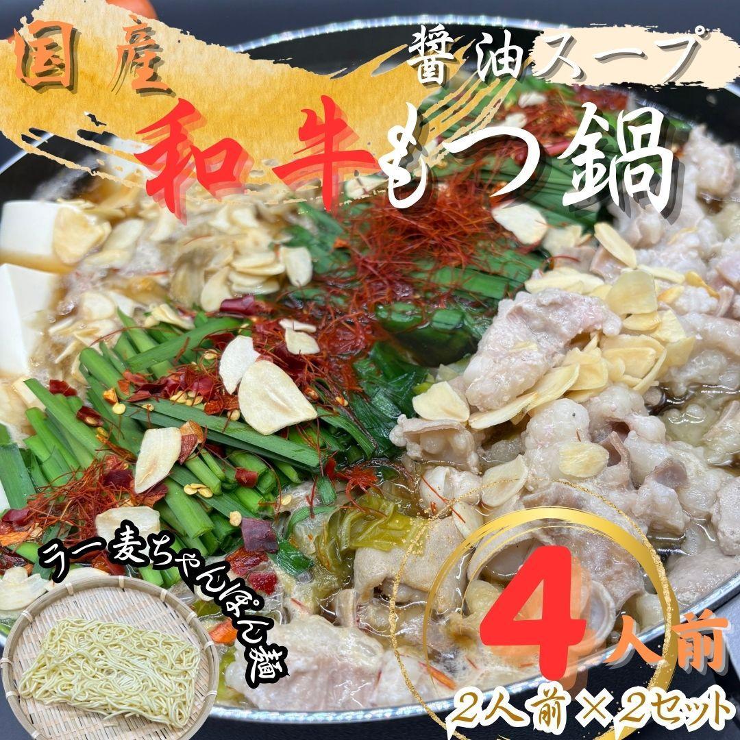 【ふるさと納税】【化粧箱入り】素材にこだわりました！厳選博多牛もつ鍋セット4人前(国産牛もつ使用)