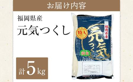 【先行予約】＜令和7年産＞福岡県産ブランド米「元気つくし」白米5kg ＜筑前町＞