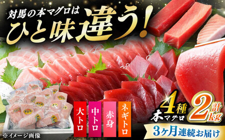 【全3回定期便】 対馬産 本マグロ 4種 計2kg（赤身/中トロ/大トロ/ネギトロ）[WAH034] マグロ まぐろ トロ