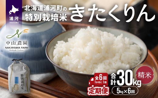 
            【先行受付開始！】浦河の特別栽培米「きたくりん」精米(5kg×1袋)定期便(全6回)[37-1494]
          