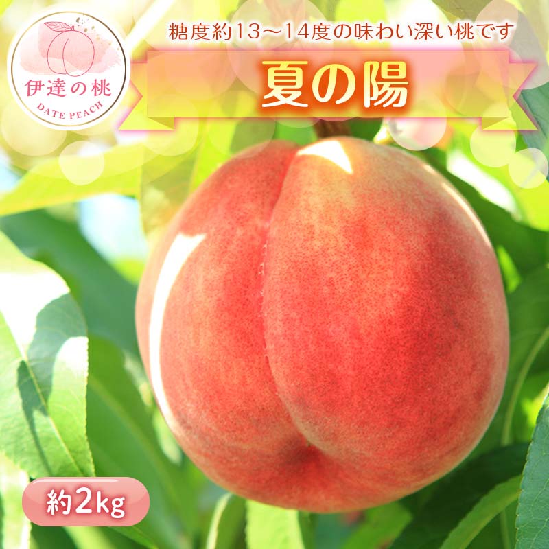 【ふるさと納税】【2026年出荷分先行予約】福島県産 夏の陽 約2kg (7～9玉) 高橋もも園 伊達市で開発 中玉 柔らかめ 伊達の桃 フルーツ 果物 もも モモ momo F20C-454
