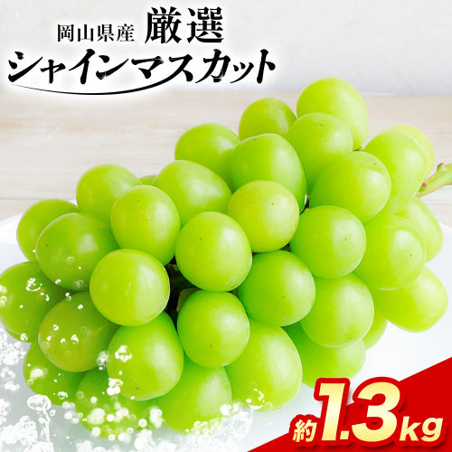 【2026年先行予約】厳選 訳あり シャインマスカット 約 1.3kg 2房 ≪2026年9月上旬-11月上旬頃に出荷≫シャインマスカット ぶどう フルーツ 果物 シャイン マスカット 葡萄 ブドウ