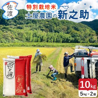 ふるさと納税 佐渡市 佐渡島産新之助 無洗米10kg 土屋農園 栽培期間中農薬・化学肥料5割減 令和7年産【食の宝島佐渡】