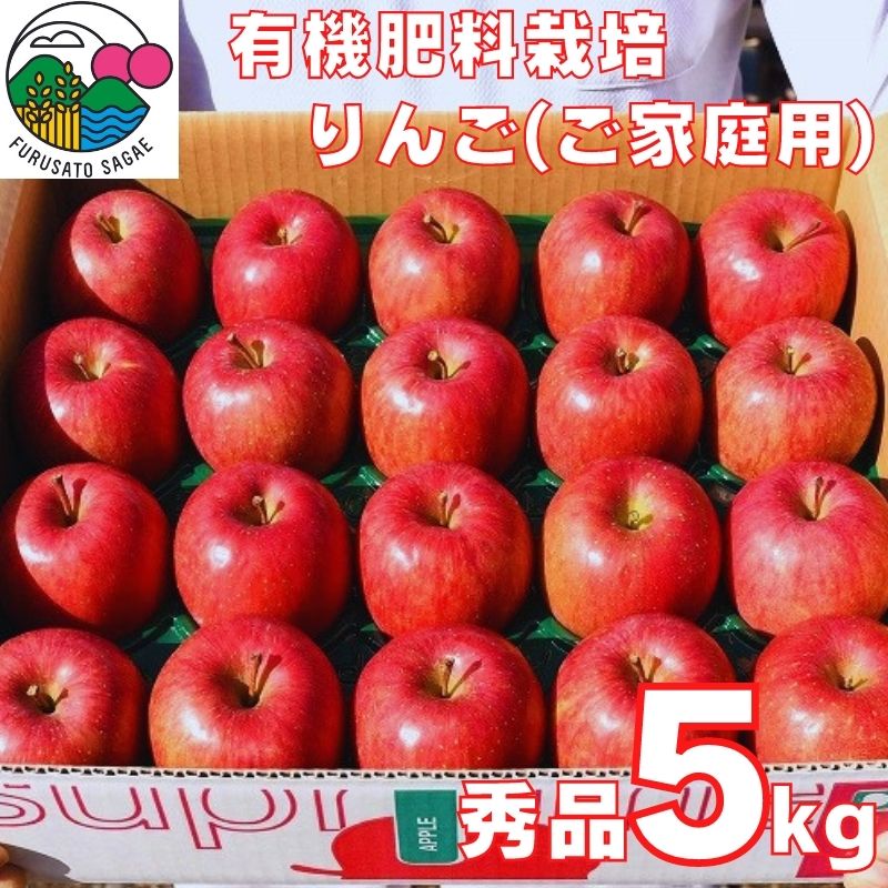 【ふるさと納税】りんご「サンふじ」5kg（20玉）ご自宅用 【2025年12月上旬頃〜下旬頃発送予定】 ／ お取り寄せ ご当地 特産 産地直送 果物 フルーツ 林檎 リンゴ 大人数 果物 東北 2025年産 令和7年産 山形県産 5キロ