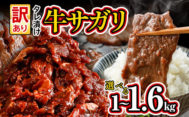 
訳あり 希少部位 旨だれ 牛サガリ 1kg 1.6kg 量が選べる 牛肉 味付け さがり 大容量 小分け 真空パック 本場のタレ ハラミ BBQ キャンプ 牛ハラミ 焼くだけ 焼肉 ご飯がすすむ 晩御飯 甘口 丼 焼き肉 お家焼き肉
