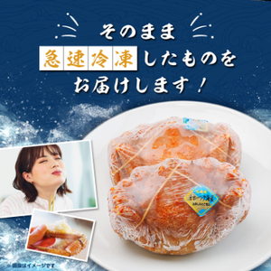 北海道産　浜茹で毛ガニ　570g前後×2尾【配送不可地域：離島・沖縄県】【1664344】