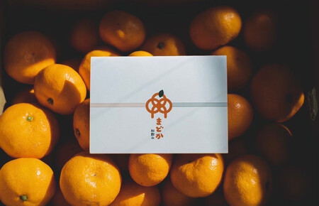 ［先行予約］［訳あり］蔵出しみかん（晩生みかん）2S〜3Sサイズ混合 5kg＋300g（傷み補償分）［2026年1月上旬より発送］