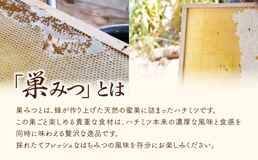 巣みつはちみつ 百花蜜 300g×1瓶