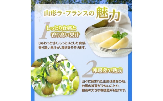 《先行受付》ラフランス 約5kg（18～20玉） 【2026年11月上旬頃～発送予定】【山形洋梨】 
