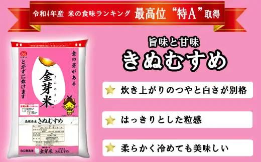 【定期便】BG無洗米・金芽米きぬむすめ 5kg×6ヵ月【毎月】計量カップ付き【令和7年産 6ヶ月 計30kg 東洋ライス 健康 島根県 安来市】【価格改定】【90-SS-04】