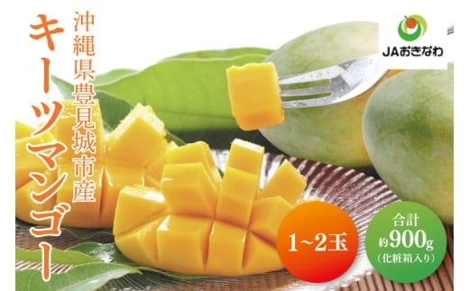 
                  【2026年8月より順次発送】菜々色畑のキーツマンゴー 1～2玉(約900g)【化粧箱】｜マンゴー キーツマンゴー フルーツ 果物 くだもの おきなわマンゴー 先行予約 ギフト 贈り物 化粧箱入り 沖縄県 豊見城市 送料無料(AE014)
                