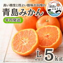 【ふるさと納税】【年内発送】【12月より順次出荷予定】青島みかん約5kg Lサイズ〔鈴木農園〕【1510097】