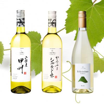 ふるさと納税 山梨市 山梨市おすすめ白ワイン3本セット(1)