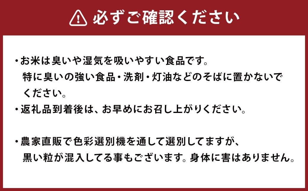 令和7年産 益城町 無洗米 森のくまさん 10kg お米
