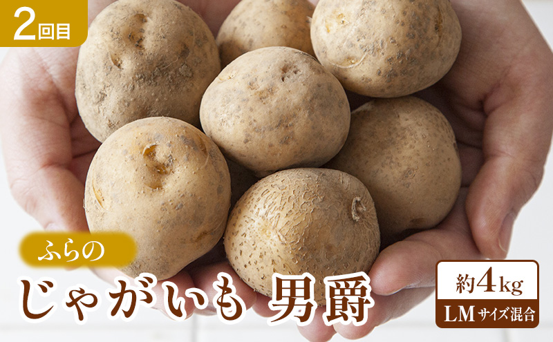 【2026年夏～秋発送】 定期便 3ヵ月 旬を味わう 基本野菜セ