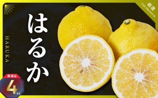 三代目のはるか4kg＜D31-8＞_みかん ミカン 柑橘 フルーツ 果物 くだもの 青果 はるか 産地直送 産直 愛媛 甘い ジューシー 常温 【1042520】 YWTAC005