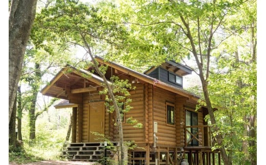 弥栄町の星空と木の香りに包まれる一泊二日（2食付き）【1組4名】宿泊 券 旅行 体験 自然 トラベル 【201_0001】