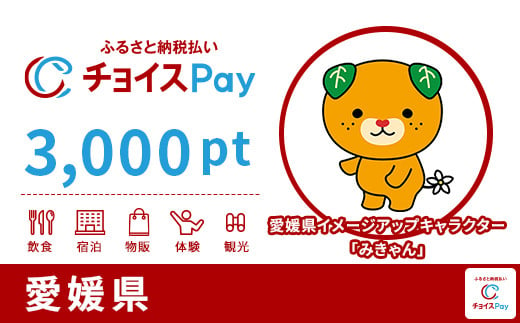 
愛媛県チョイスPay 3,000pt（1pt＝1円）【会員限定のお礼の品】
